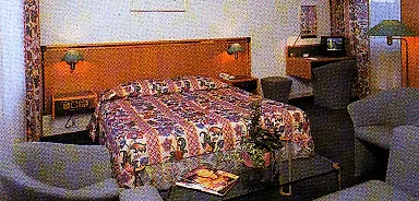 Hotel Falcon Plaza Centre Amsterdam